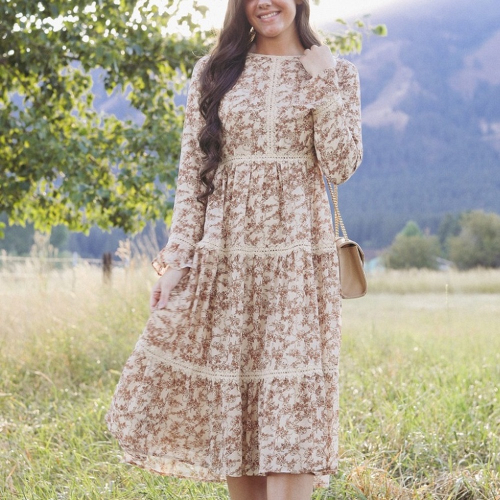 Dainty Jewells Afternoon in the Meadow midi dress. NWT size S Back zipper.